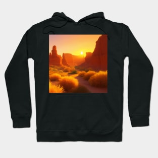 Sunset over a desert scene Hoodie